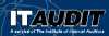 IT Audit Logo